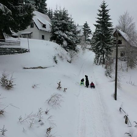 Vila Leni Kopaonik Eksteriør bilde