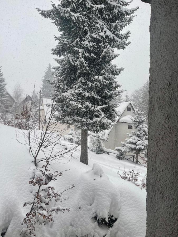 Vila Leni Kopaonik Eksteriør bilde
