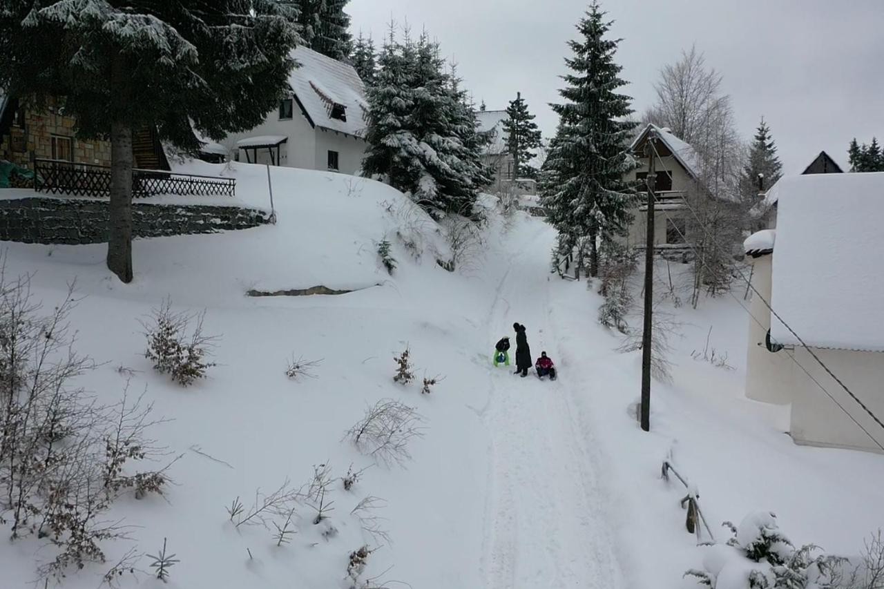 Vila Leni Kopaonik Eksteriør bilde